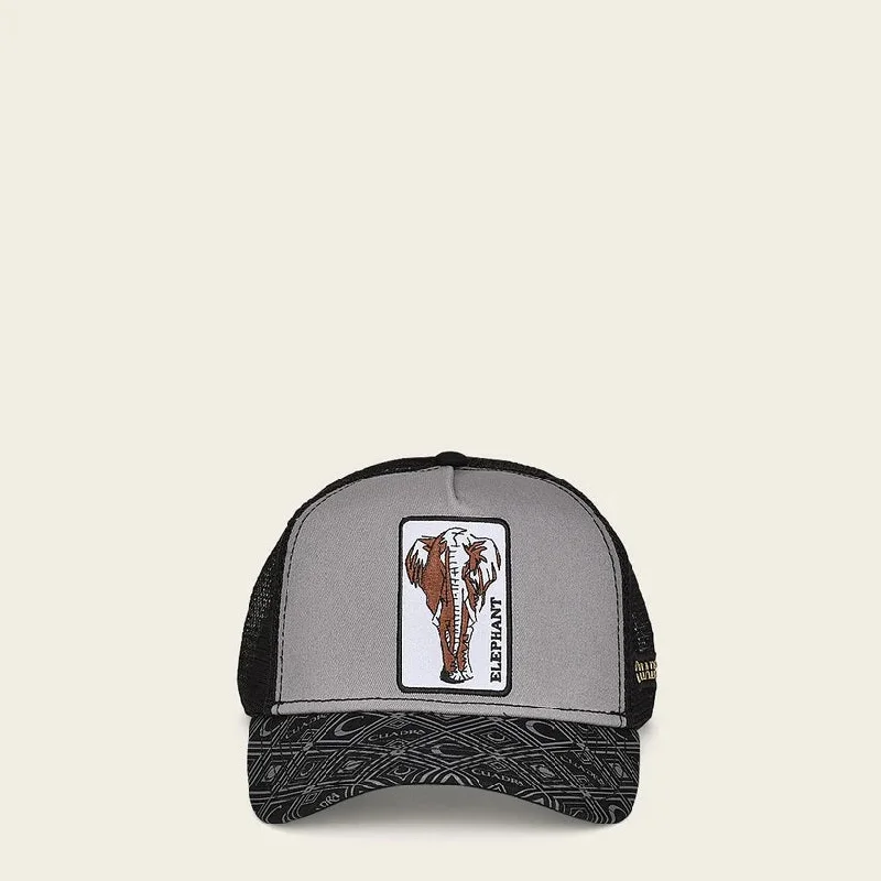 Cuadra Elephant Snapback Hat